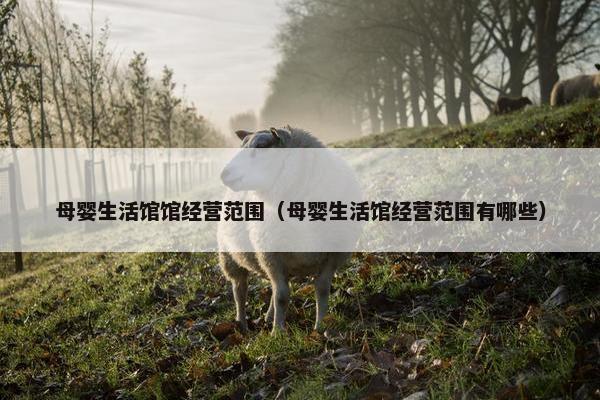 母婴生活馆馆经营范围（母婴生活馆经营范围有哪些）
