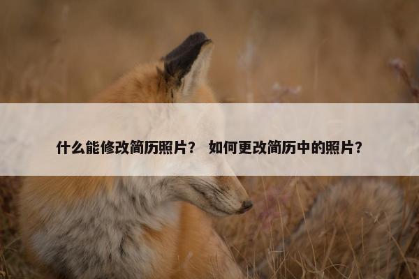 什么能修改简历照片？ 如何更改简历中的照片？