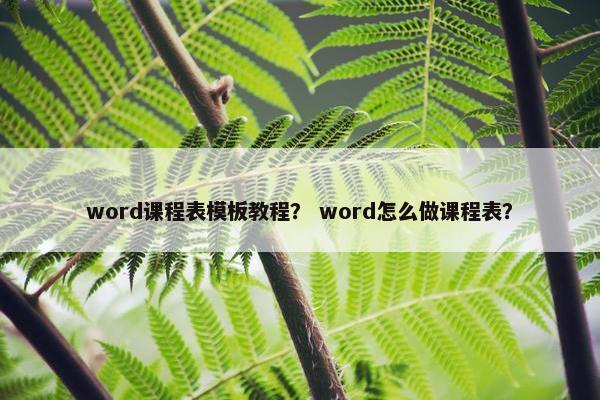 word课程表模板教程？ word怎么做课程表？