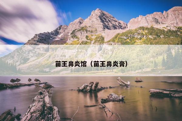 苗王鼻炎馆（苗王鼻炎膏）