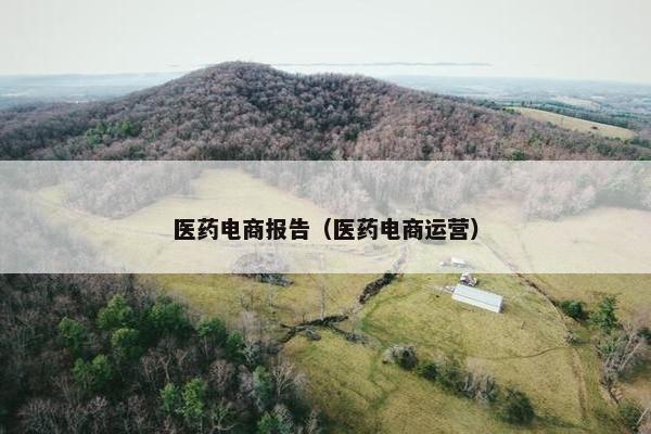 医药电商报告（医药电商运营）