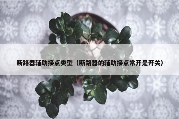 断路器辅助接点类型（断路器的辅助接点常开是开关）
