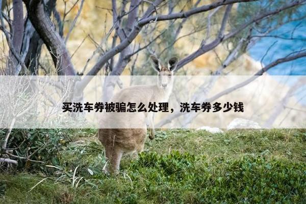 买洗车券被骗怎么处理，洗车券多少钱