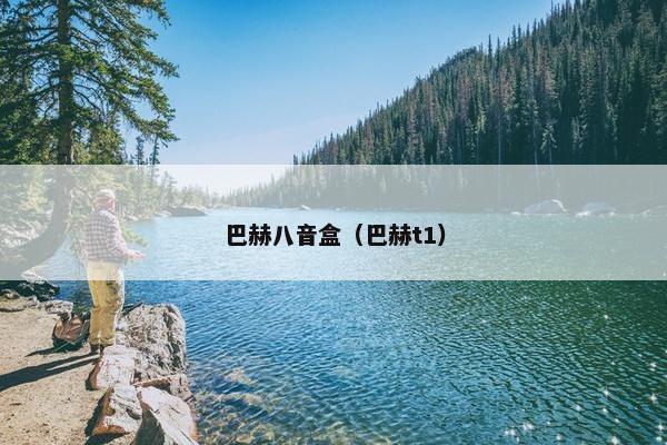 巴赫八音盒（巴赫t1）
