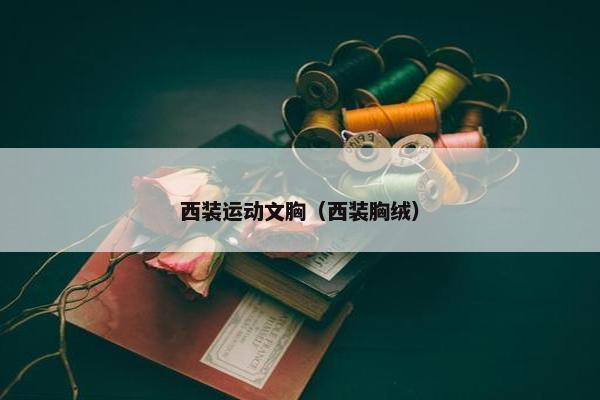 西装运动文胸（西装胸绒）