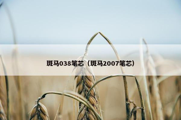 斑马038笔芯（斑马2007笔芯）