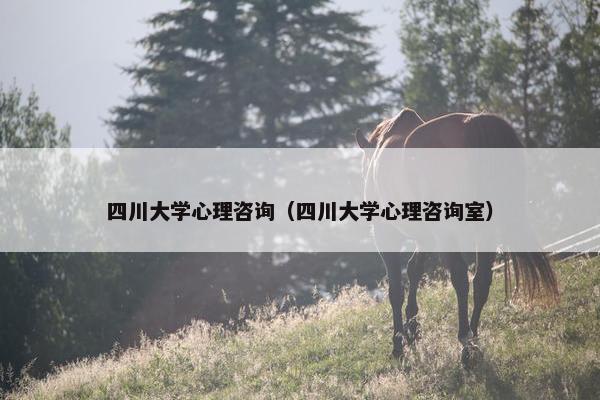 四川大学心理咨询（四川大学心理咨询室）