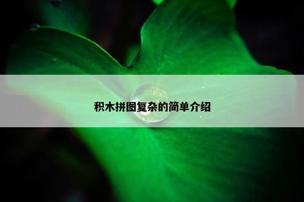 积木拼图复杂的简单介绍
