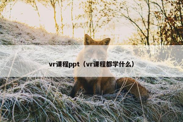 vr课程ppt（vr课程都学什么）