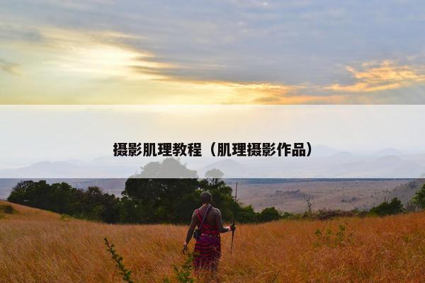 摄影肌理教程（肌理摄影作品）