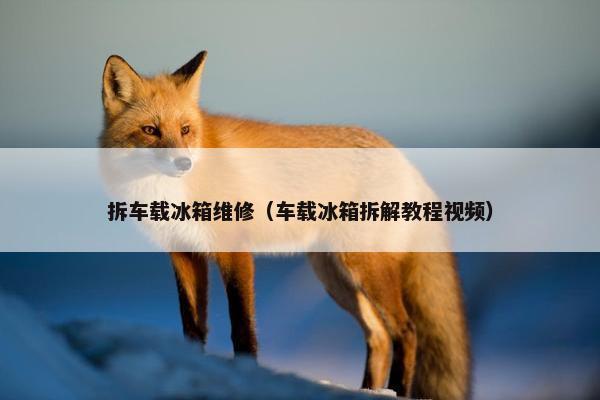 拆车载冰箱维修（车载冰箱拆解教程视频）