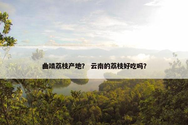 曲靖荔枝产地？ 云南的荔枝好吃吗？