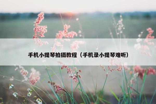 手机小提琴拍摄教程（手机录小提琴难听）