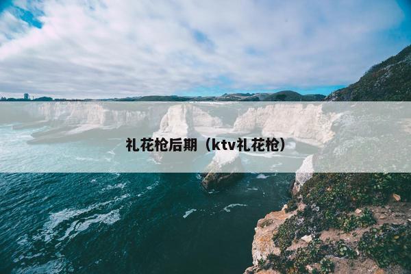 礼花枪后期（ktv礼花枪）