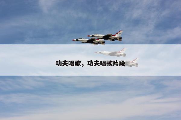 功夫唱歌，功夫唱歌片段