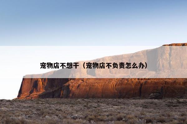 宠物店不想干（宠物店不负责怎么办）