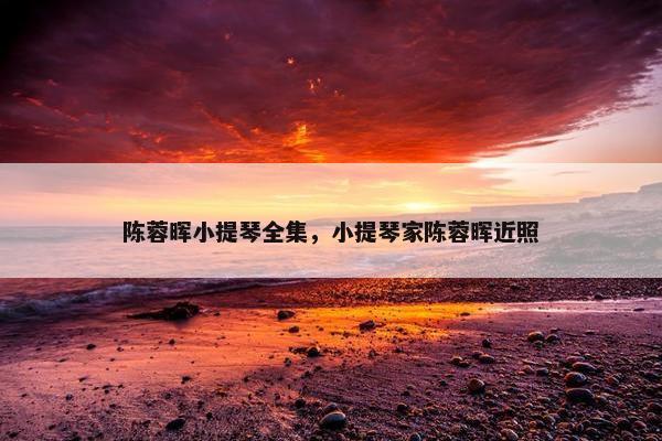 陈蓉晖小提琴全集，小提琴家陈蓉晖近照