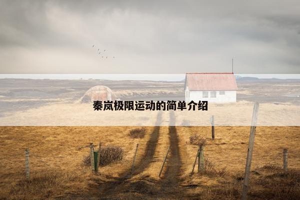 秦岚极限运动的简单介绍