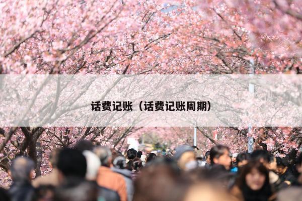 话费记账（话费记账周期）