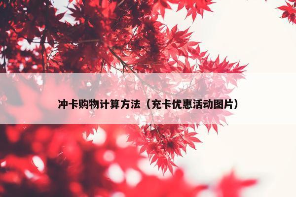 冲卡购物计算方法（充卡优惠活动图片）