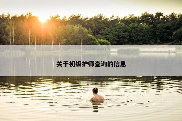 关于初级护师查询的信息