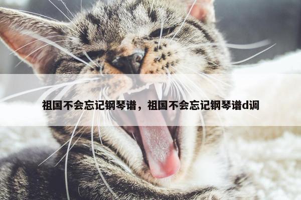 祖国不会忘记钢琴谱，祖国不会忘记钢琴谱d调