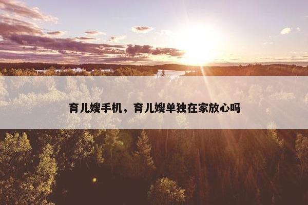 育儿嫂手机，育儿嫂单独在家放心吗