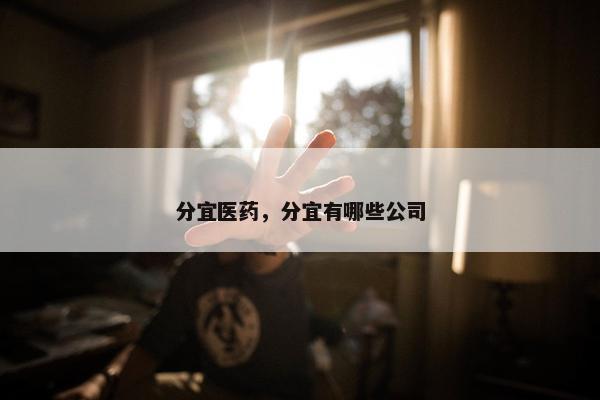 分宜医药，分宜有哪些公司