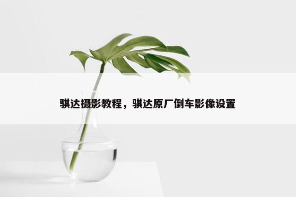 骐达摄影教程，骐达原厂倒车影像设置