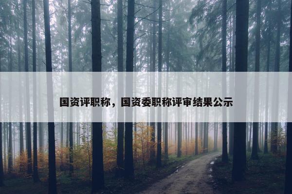 国资评职称，国资委职称评审结果公示
