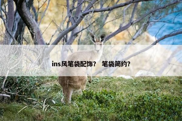 ins风笔袋配饰？ 笔袋简约？