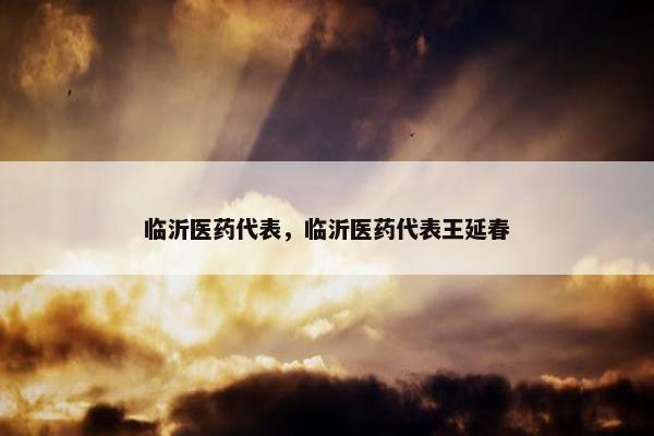 临沂医药代表，临沂医药代表王延春