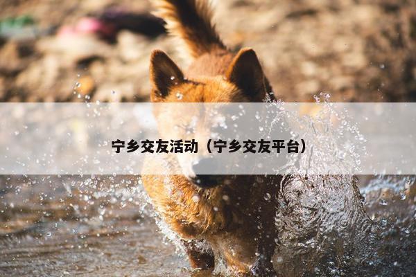 宁乡交友活动（宁乡交友平台）