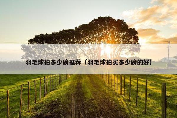 羽毛球拍多少磅推荐（羽毛球拍买多少磅的好）