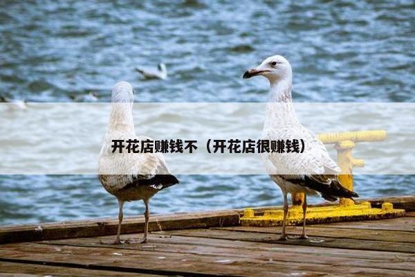 开花店赚钱不（开花店很赚钱）