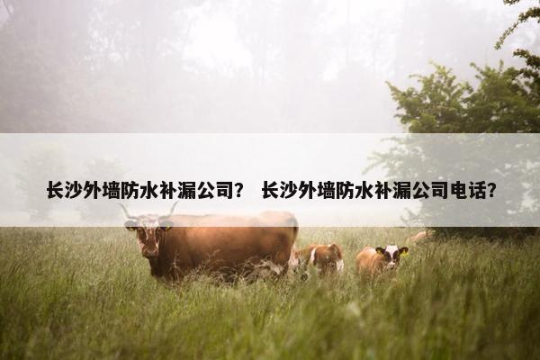 长沙外墙防水补漏公司？ 长沙外墙防水补漏公司电话？