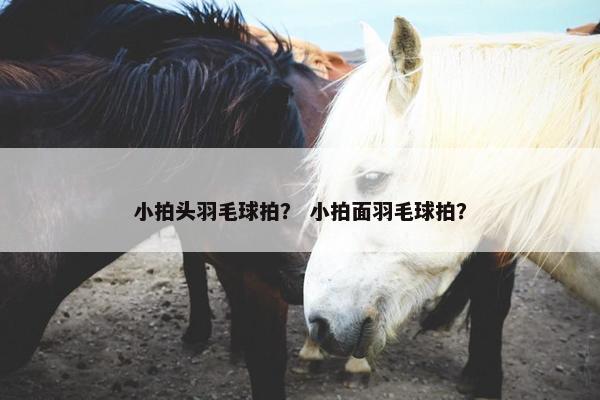 小拍头羽毛球拍？ 小拍面羽毛球拍？