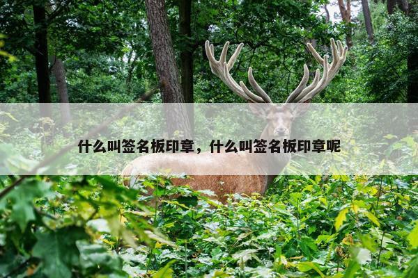 什么叫签名板印章，什么叫签名板印章呢