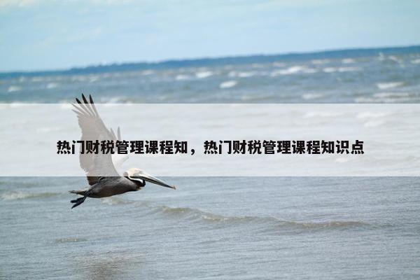 热门财税管理课程知，热门财税管理课程知识点