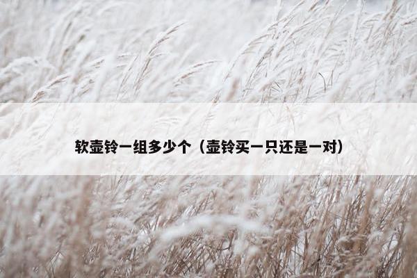 软壶铃一组多少个（壶铃买一只还是一对）