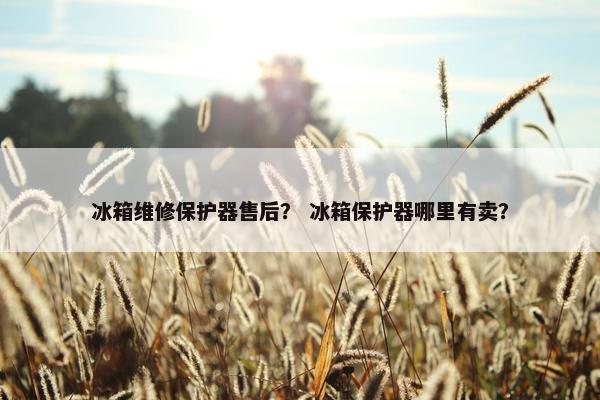 冰箱维修保护器售后？ 冰箱保护器哪里有卖？