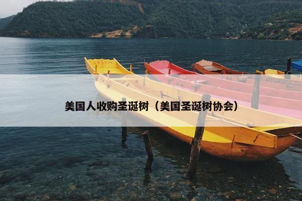 美国人收购圣诞树（美国圣诞树协会）