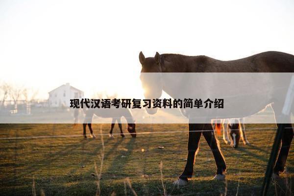 现代汉语考研复习资料的简单介绍