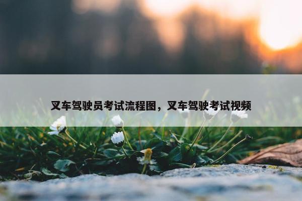 叉车驾驶员考试流程图，叉车驾驶考试视频