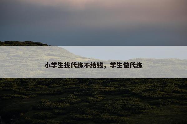 小学生找代练不给钱，学生做代练