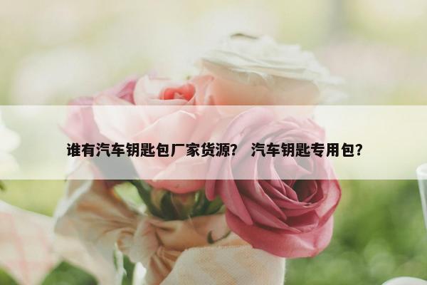谁有汽车钥匙包厂家货源？ 汽车钥匙专用包？