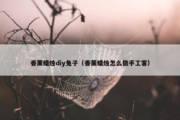 香薰蜡烛diy兔子（香薰蜡烛怎么做手工客）