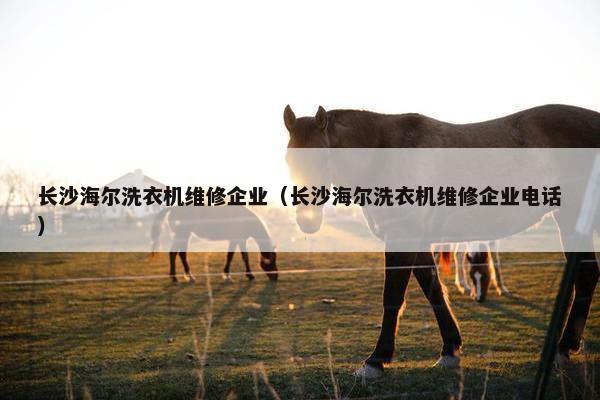 长沙海尔洗衣机维修企业（长沙海尔洗衣机维修企业电话）