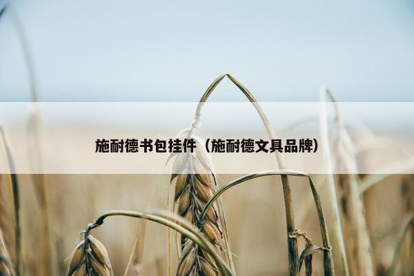 施耐德书包挂件（施耐德文具品牌）