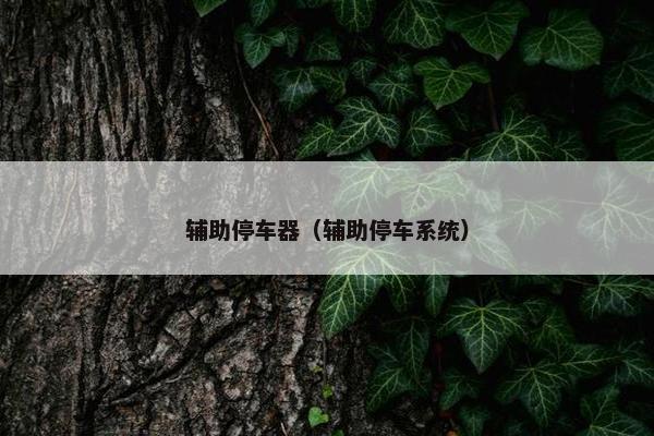 辅助停车器（辅助停车系统）